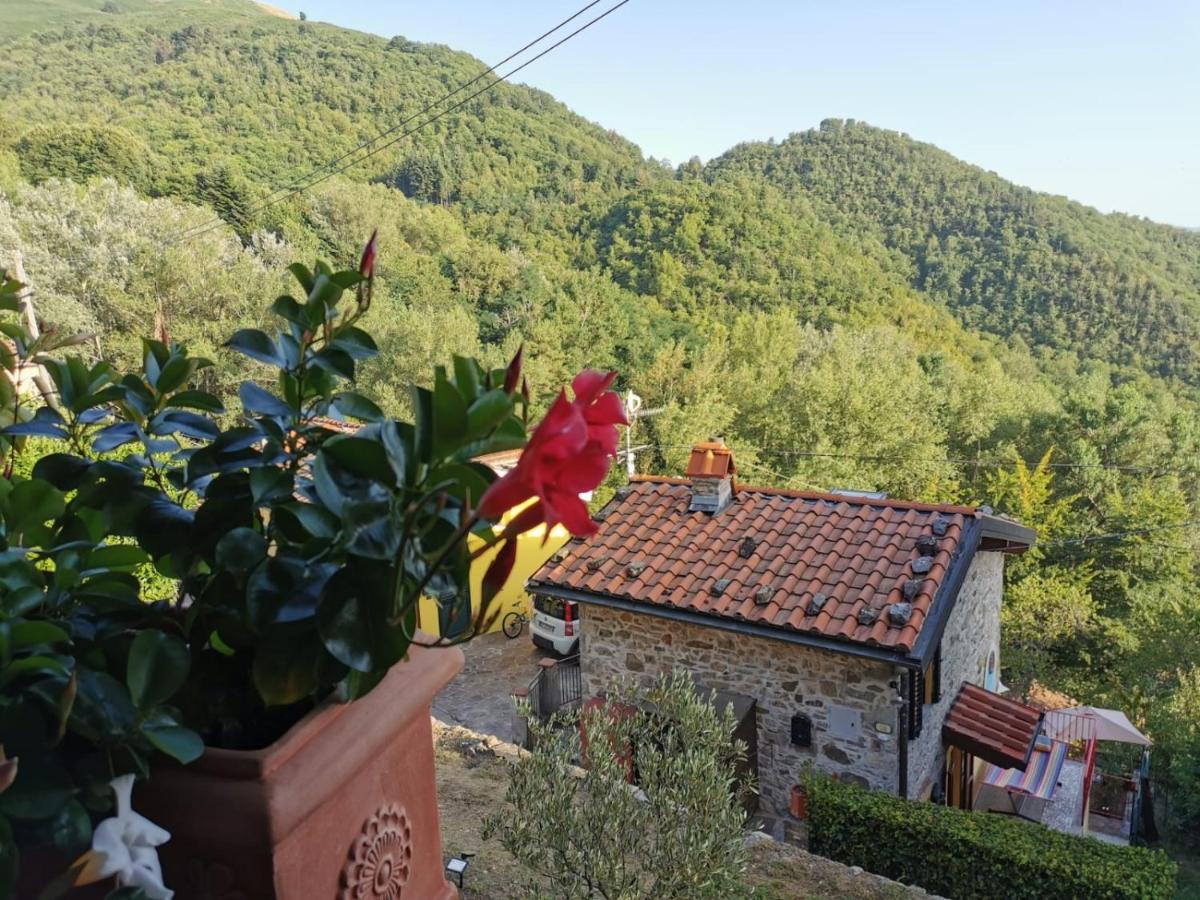 Deliziosa Casetta Sull'Appennino Toscano Montefegatesi Buitenkant foto
